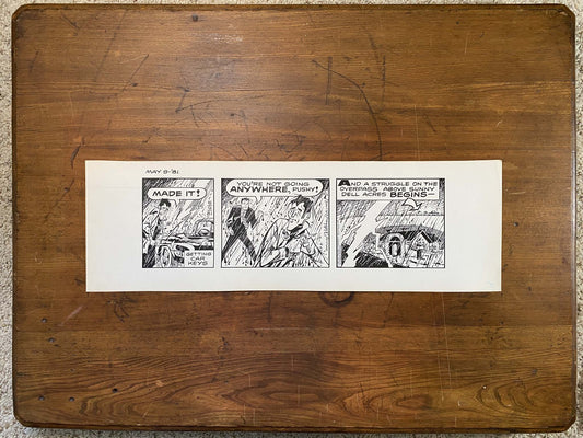 Dick Tracy Daily 5/9/81 Original Art Illustration | Fletcher Studio