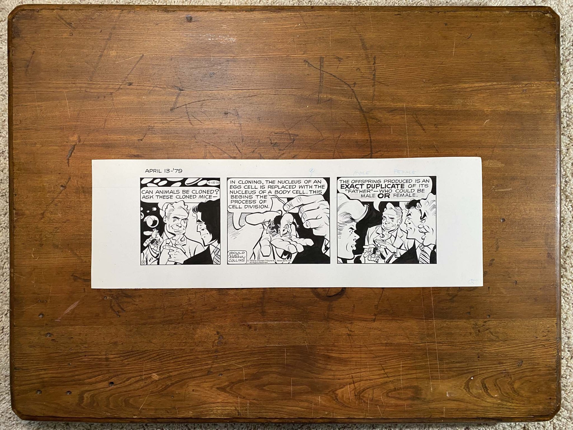Dick Tracy Daily 4/13/79 Original Art Illustration | Fletcher Studio